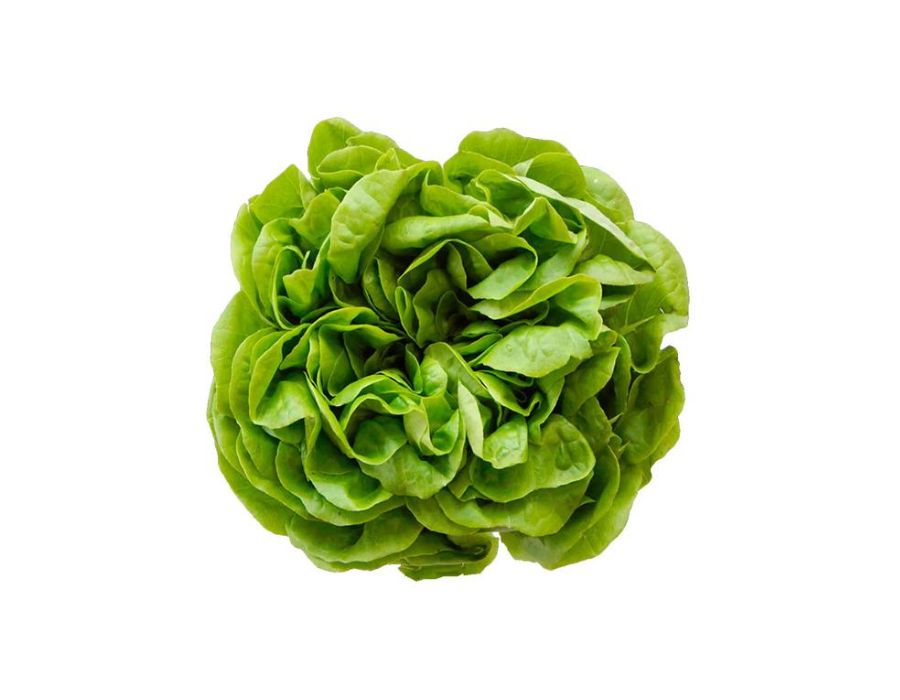 alface lisa mesclada 250g alface lisa mesclada 250g